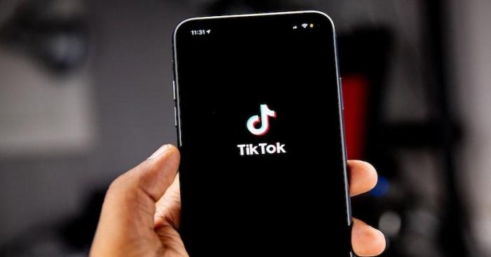 Snaptik Cocok untuk Pengguna TikTok yang Ingin Arsip Konten