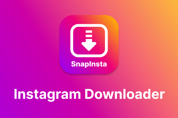 SnapInsta Mendukung Berbagai Format Media Instagram